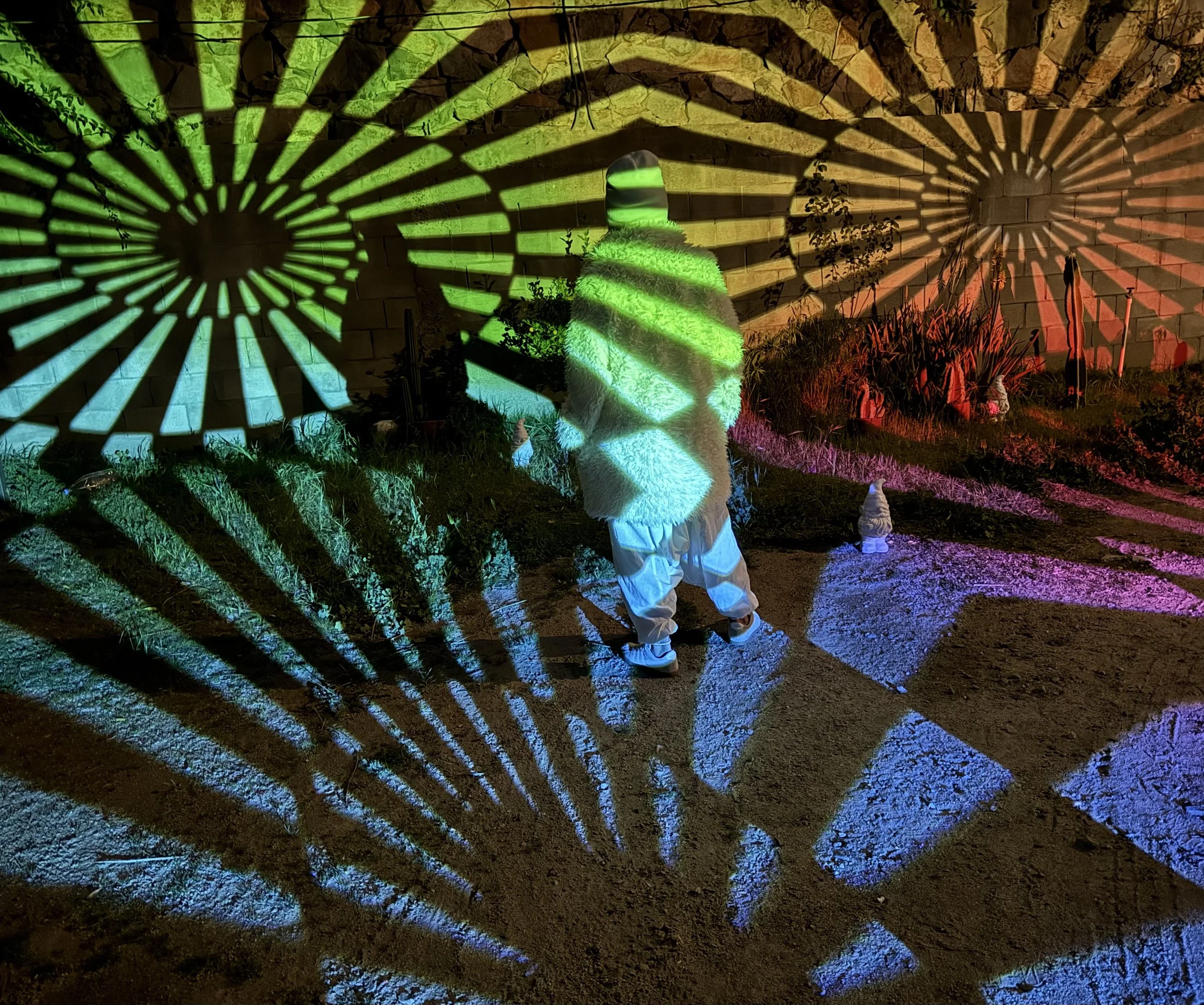 Person standing in a garden at night, illuminated by colorful lights creating intricate shadow patterns on the wall and ground.