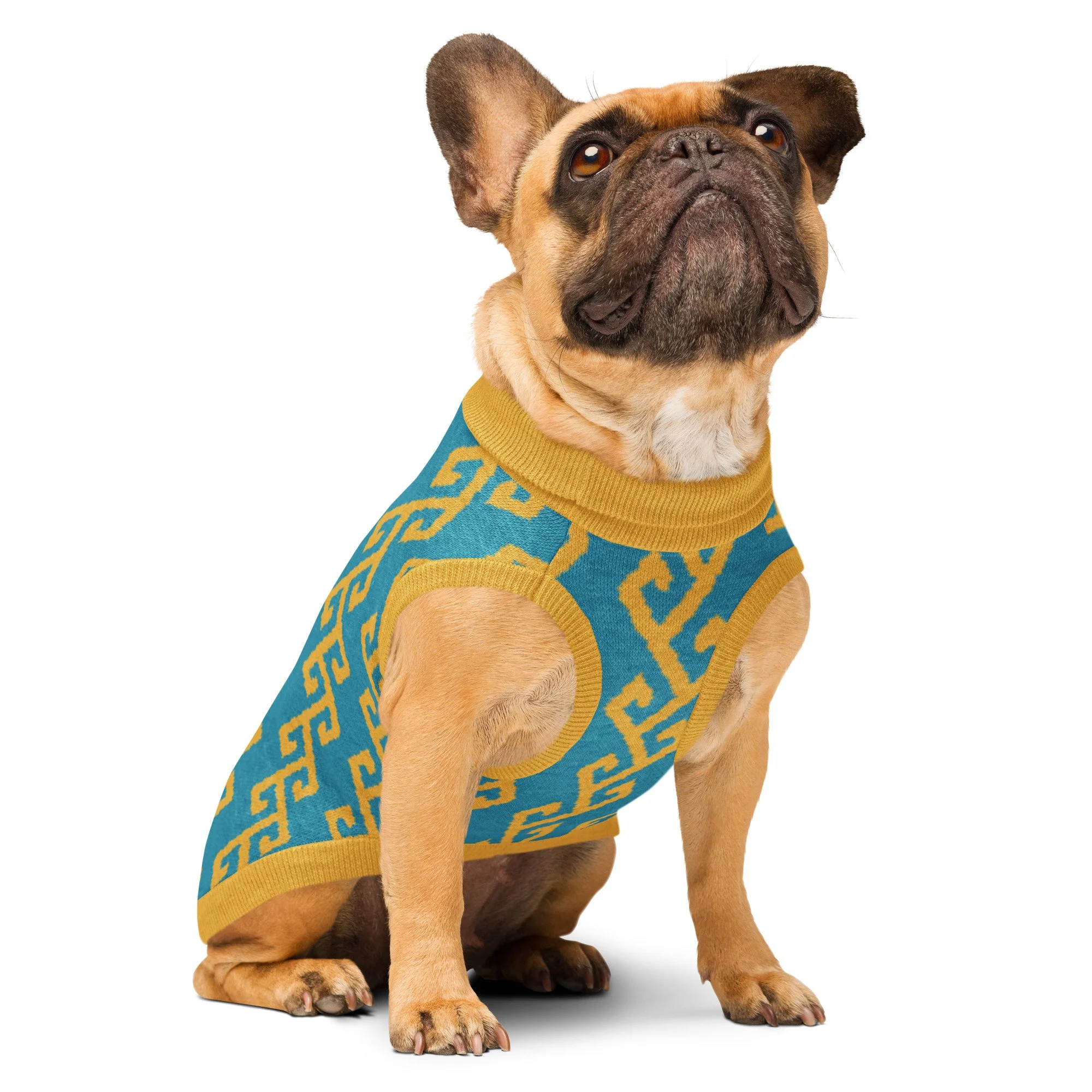 knitted-pet-sweater-custom-m-right-front-69ffda3dce439.jpg