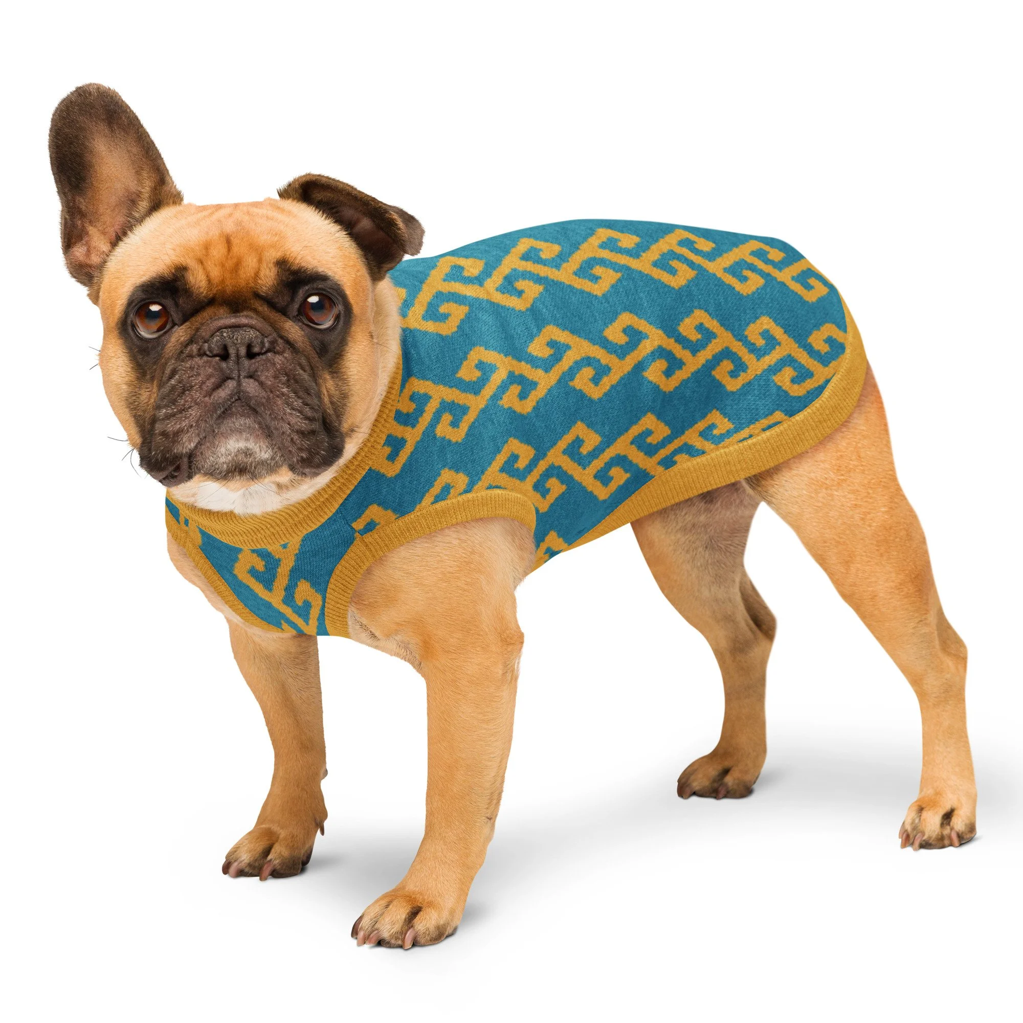 knitted-pet-sweater-custom-m-left-front-69ffda3dce88c.jpg