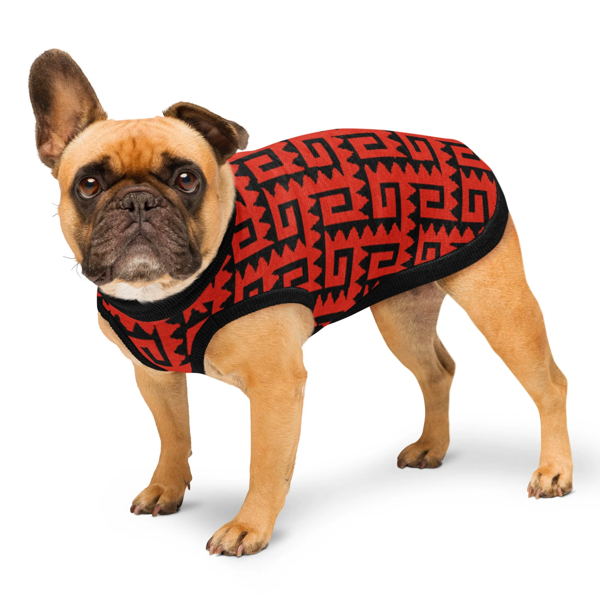 knitted-pet-sweater-custom-m-left-front-6a000258e34cc.jpg