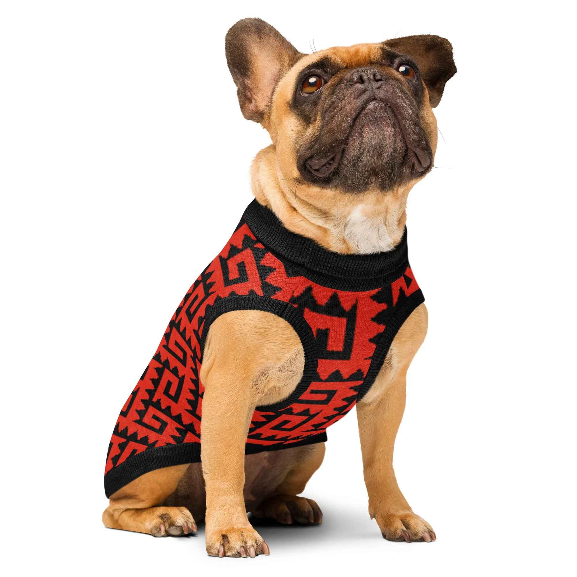 knitted-pet-sweater-custom-m-right-front-6a000258e303e.jpg