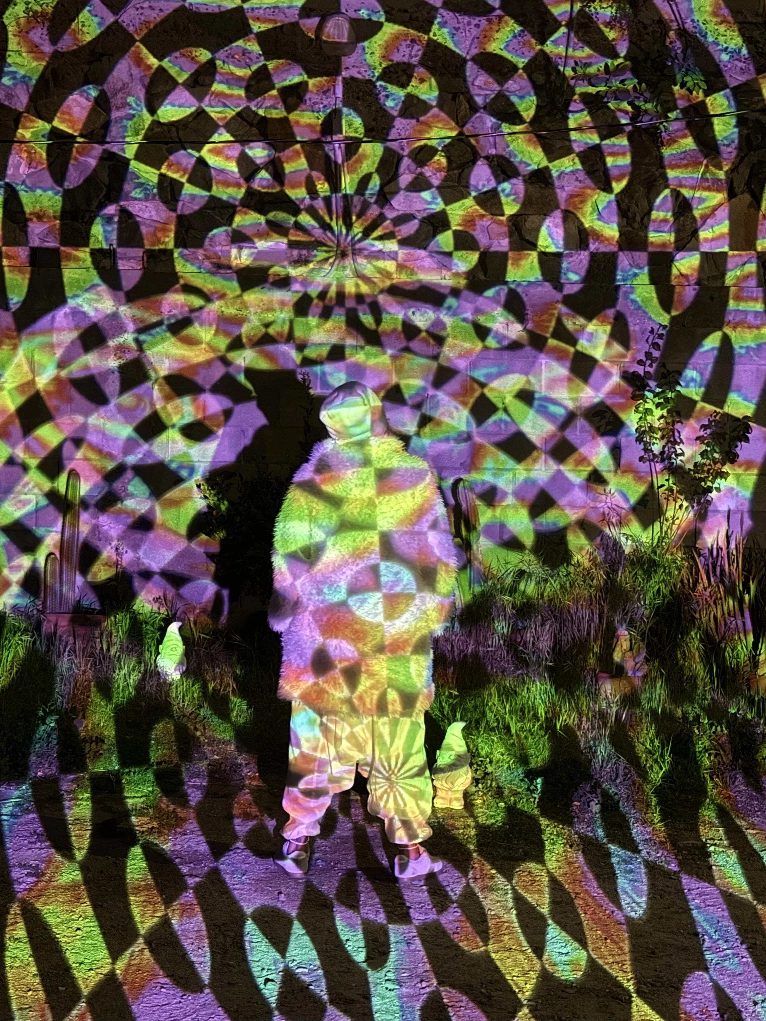 Person standing outdoors at night with colorful, kaleidoscopic light projections and patterns covering the person, ground, and background, surrounded by plants and trees.