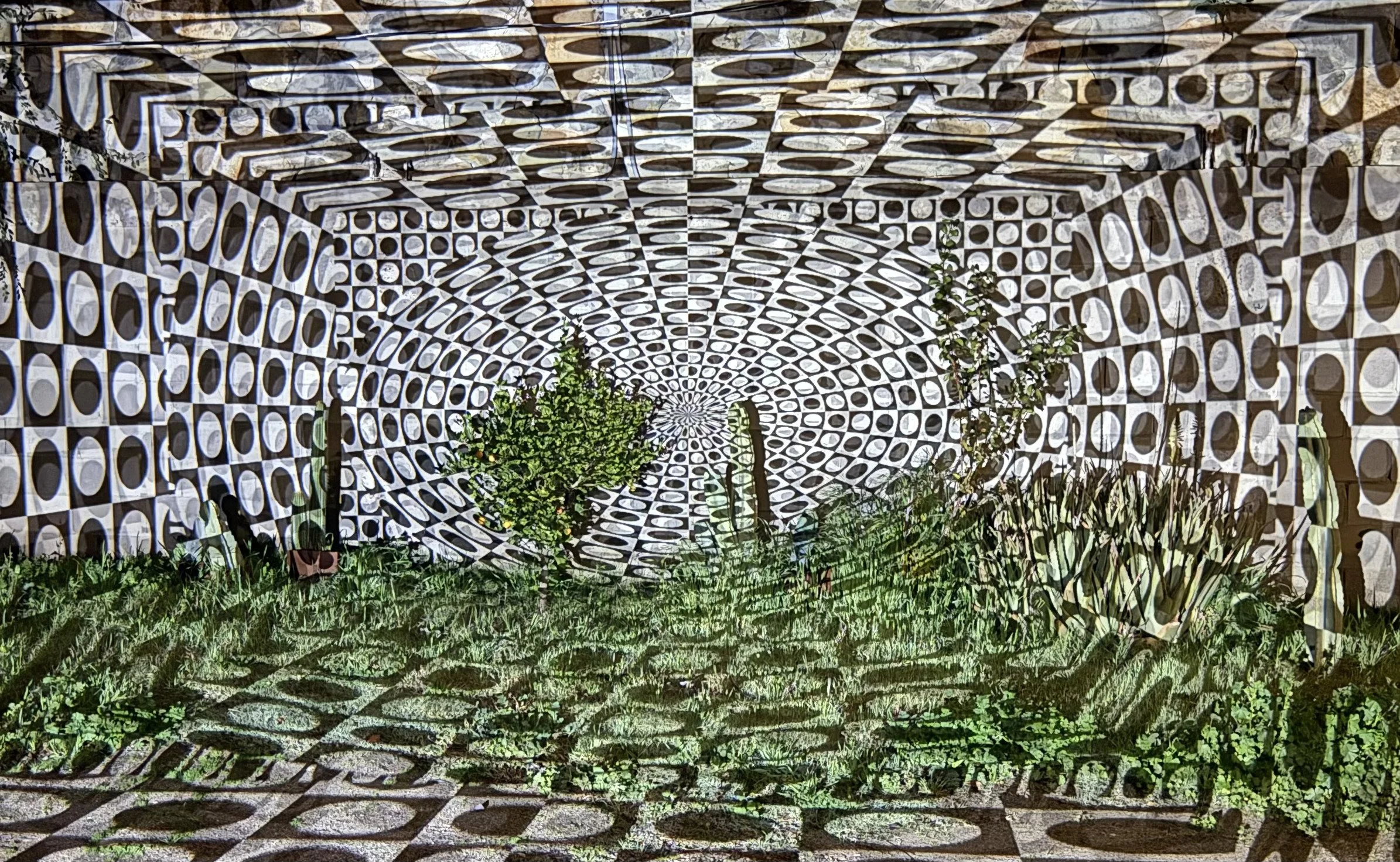 garden with projected light art in a circular pattern on plants and wall, black and white geometric designs, green plants, and psychedelic kaleidoscopic art.