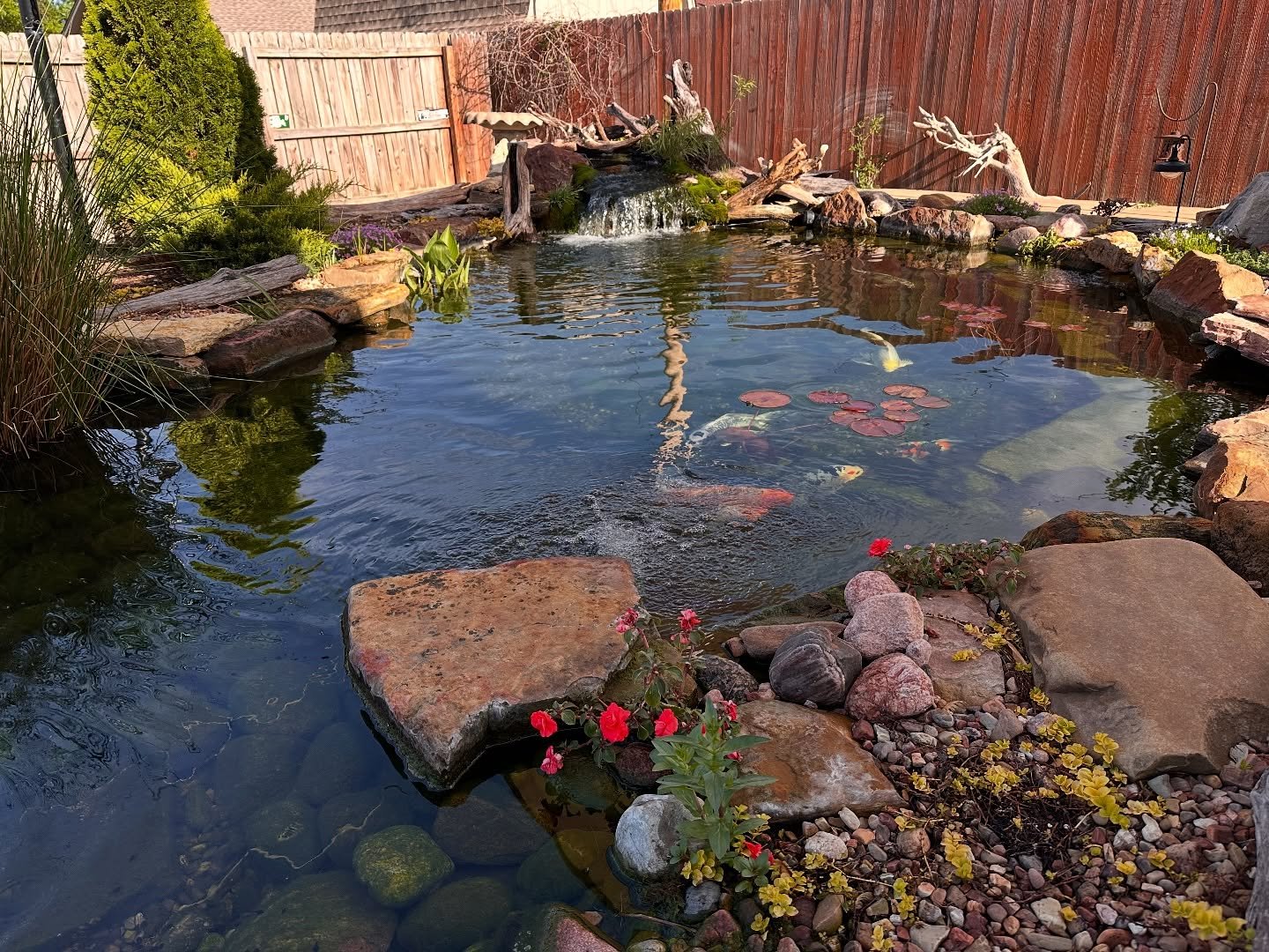 We are seeing excellent results from our Aquascape Auto dosing system using the maintain formula