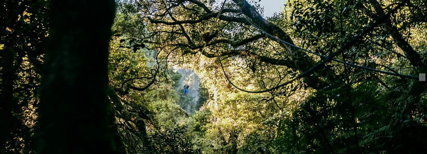 Case Study: Rotorua Ziplines slope stability