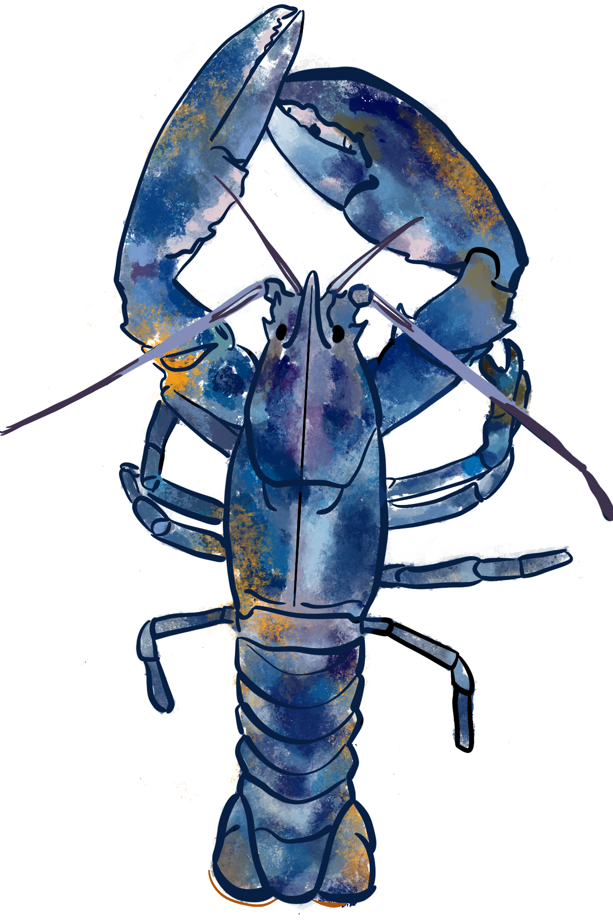 IMG_0127 (2).PNG