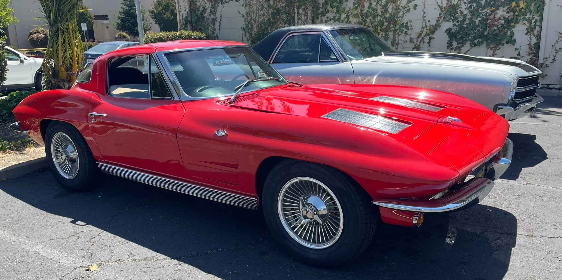 A red vintage Chevrolet Corvette parked outdoors alongside a silver classic car, with plants and trees in the background.