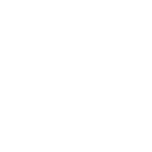 Workday Partner