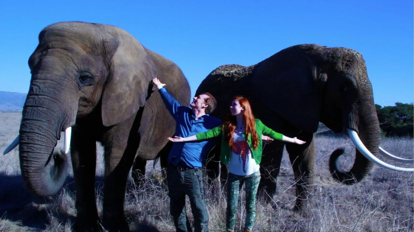 reach to the room without a roof .jpeg