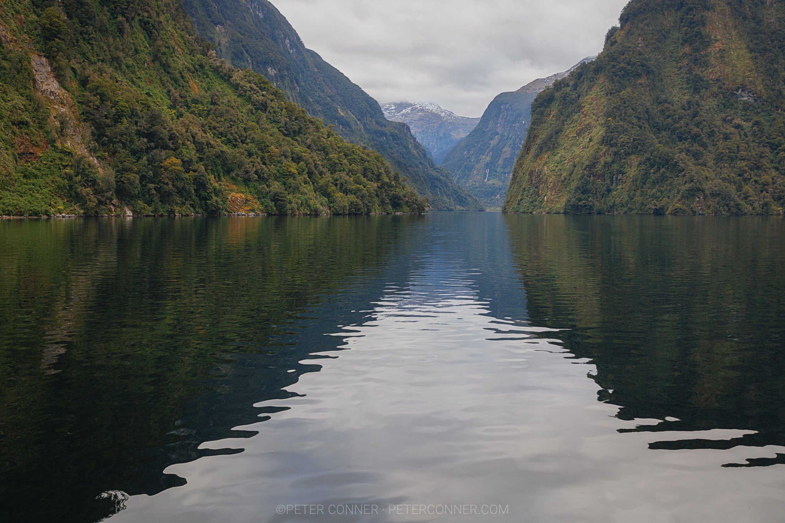Doubtful_Sound_1.jpg