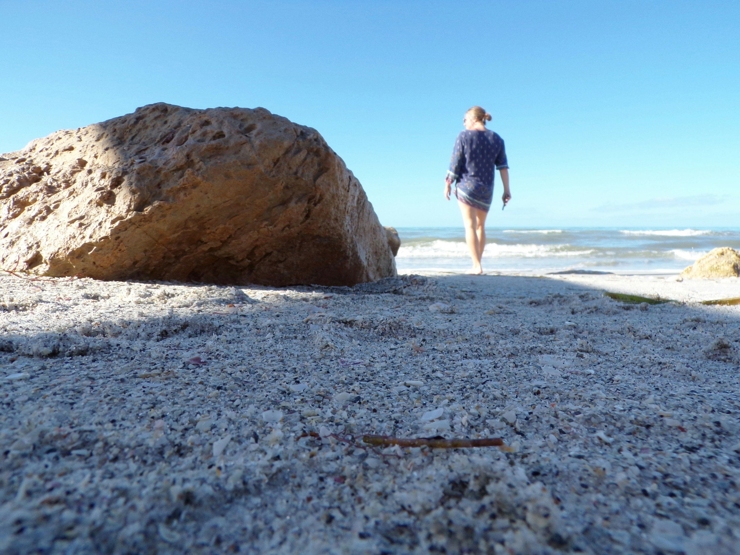 rauma therapy and EMDR healing in Tampa, Florida for adults with PTSD and complex PTSD.