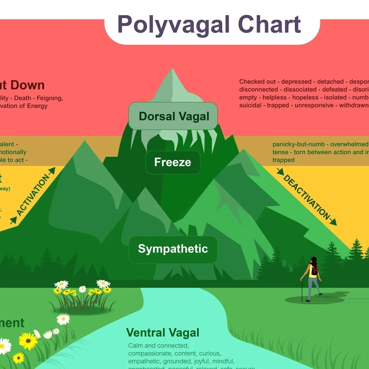 Polyvagal Mountain chart showing nervous system states from calm and regulated at the summit to fight, flight, freeze, and shutdown below, printable polyvagal theory map by a licensed trauma therapist
