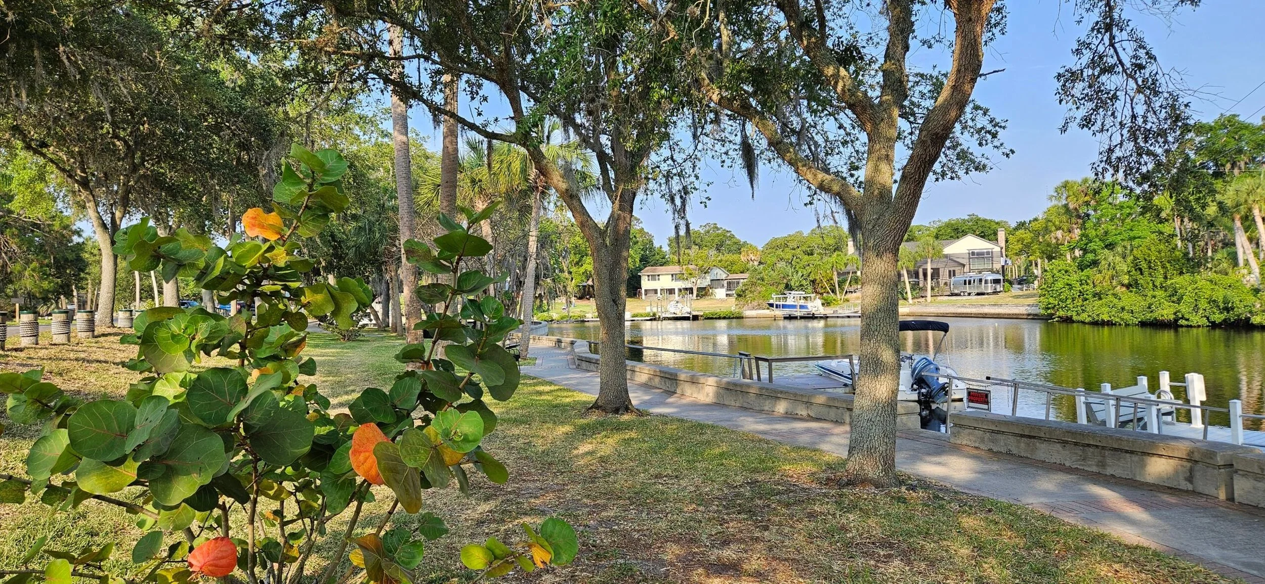 Cotee River in New Port Richey, Florida, showing a peaceful integration space for therapy.
