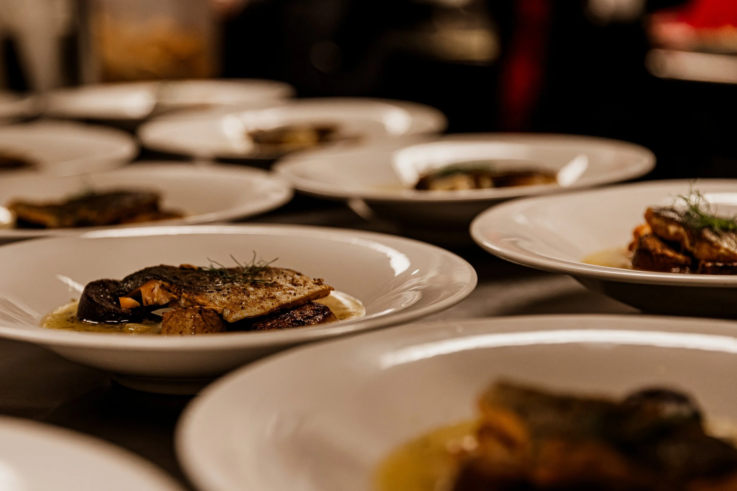 Several plates of gourmet fish dishes garnished with herbs, served on white plates.