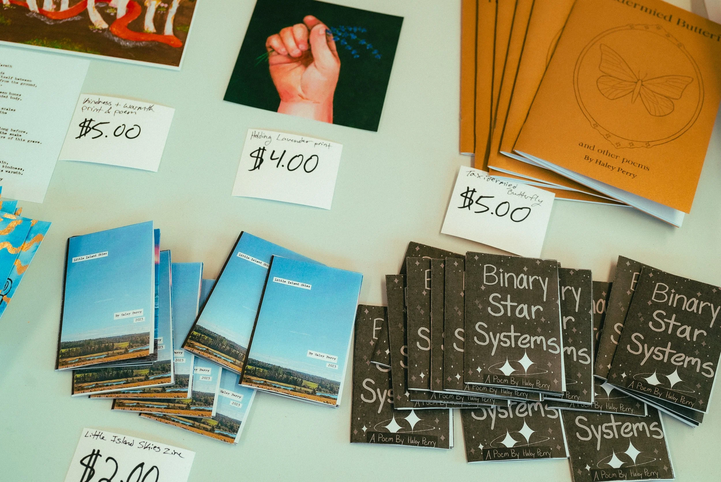 Zine Fest-088.jpg
