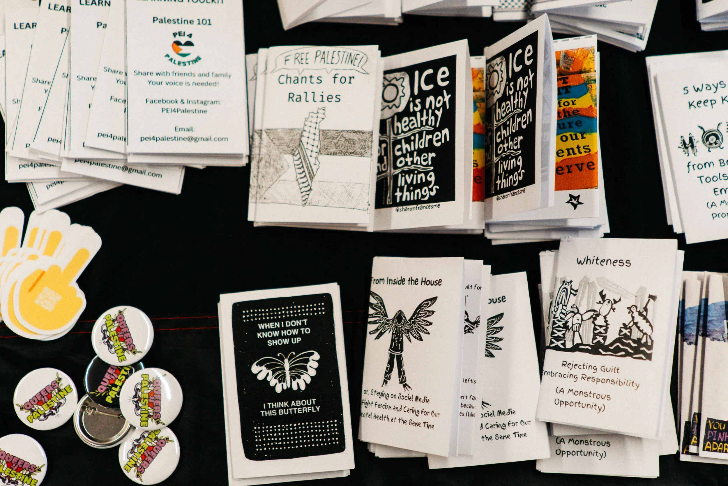 Zine Fest 2025-013.jpg