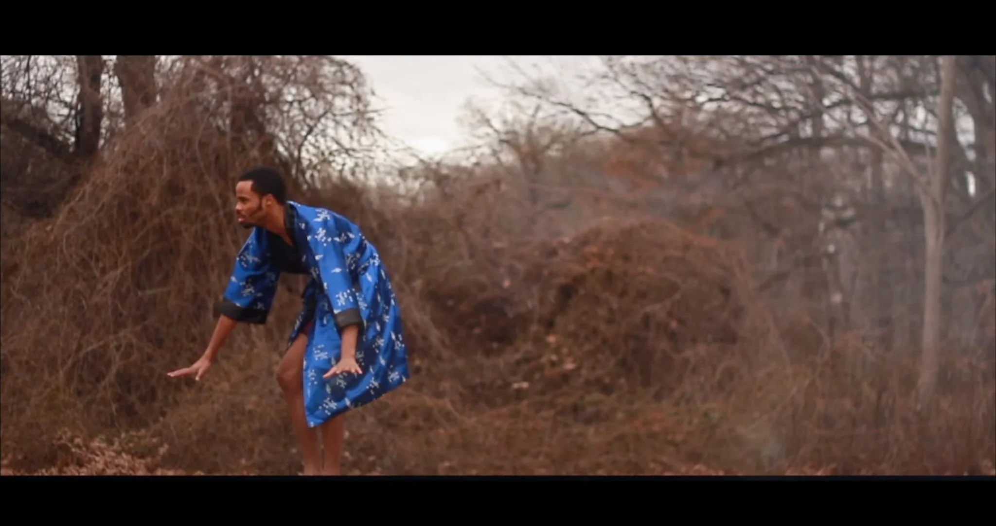 Screen Shot 2024-12-09 at 8.05.57 PM.jpg