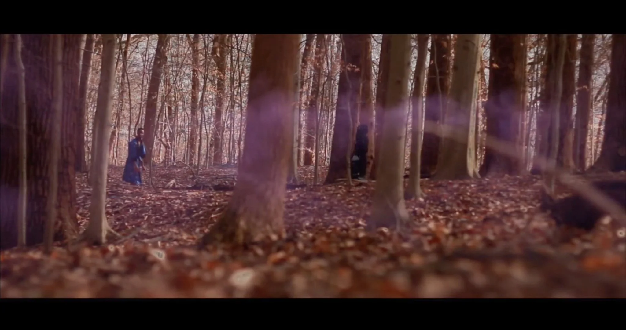 Screen Shot 2024-12-09 at 8.04.05 PM.jpg