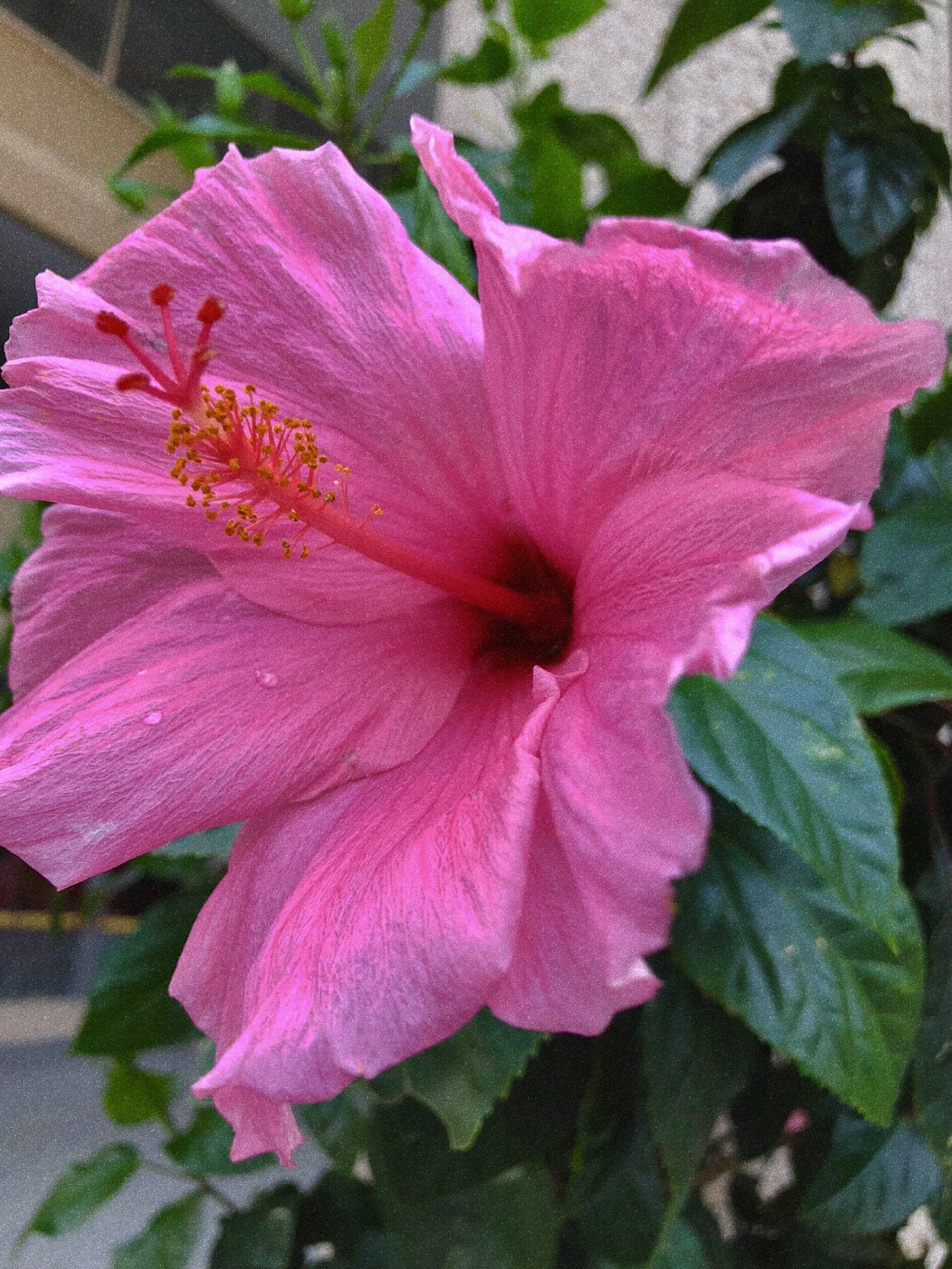 IMG_3700.jpg