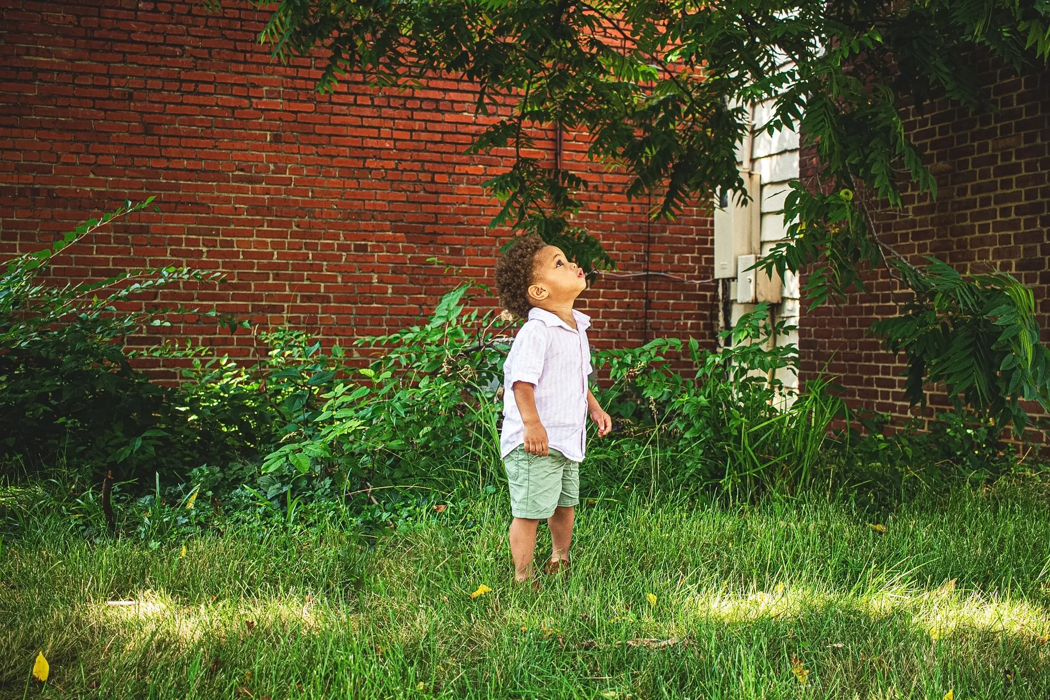 where wonder lives