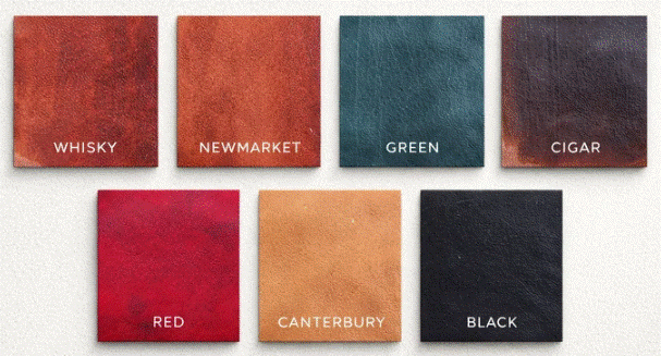 Belt Colors.gif