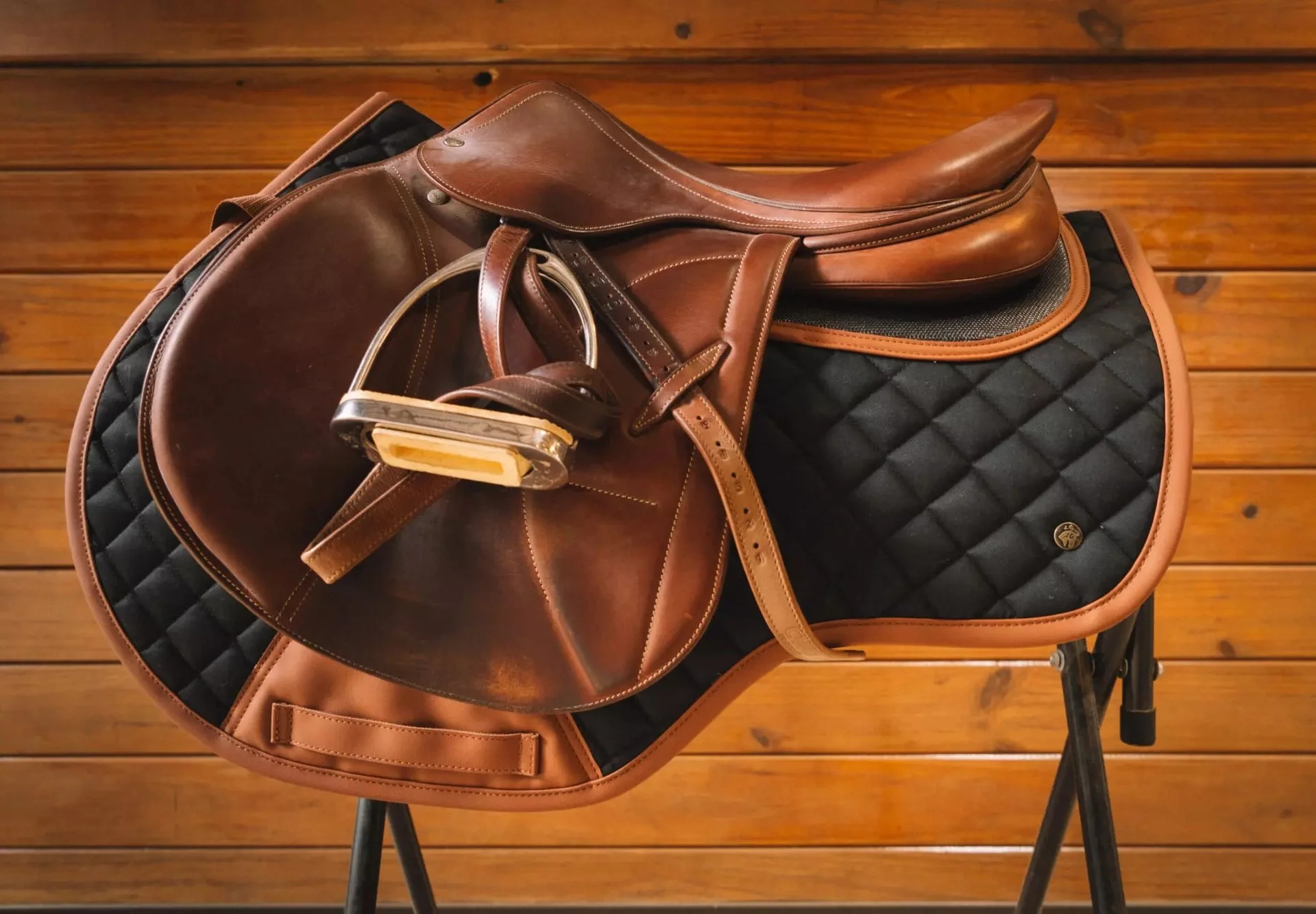 ThinLine-Sixteen-Cypress-Eqeustrian-Saddle-Pads41.jpg.jpeg