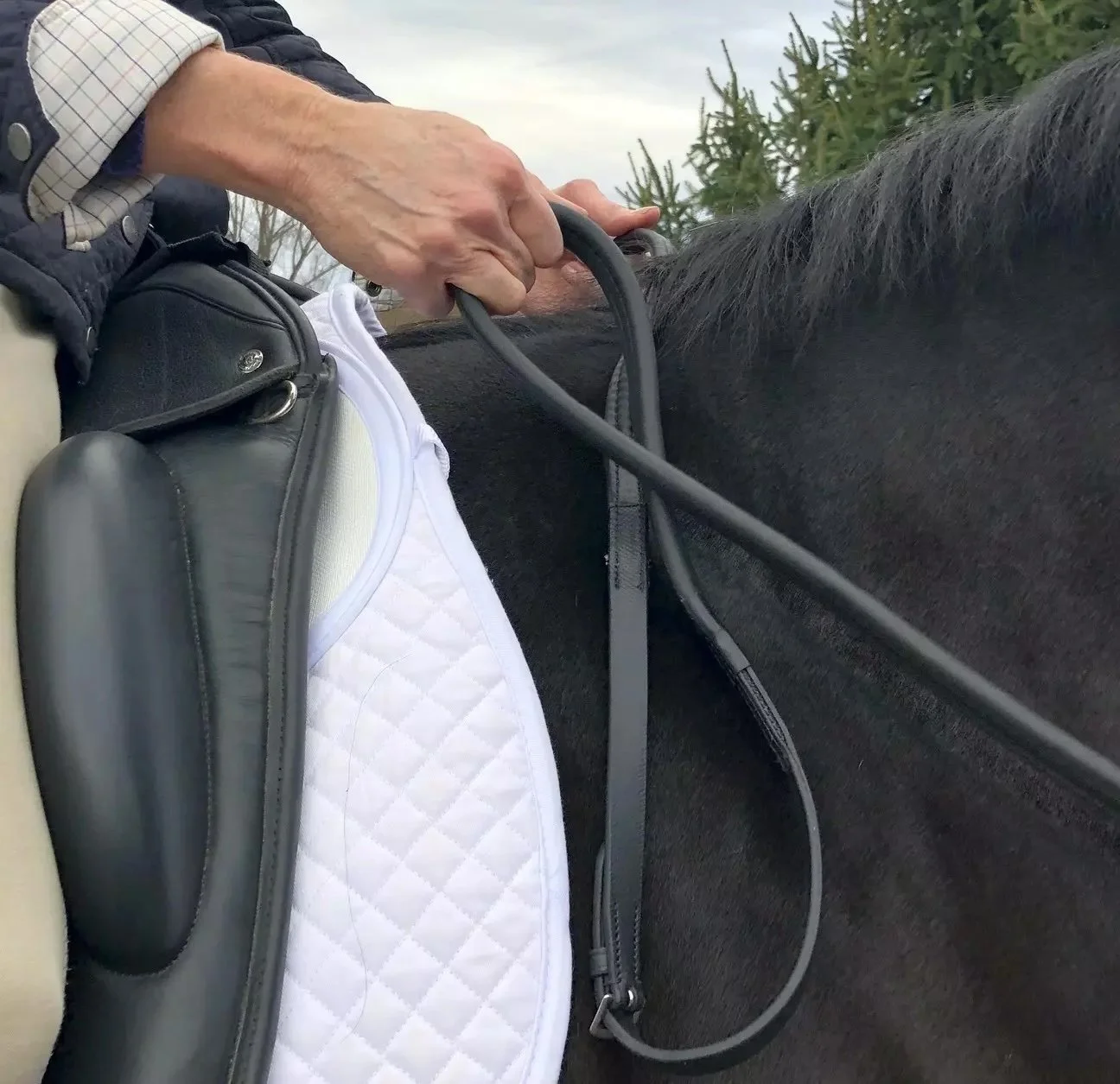Black-Dressage-Reins.jpg.jpeg