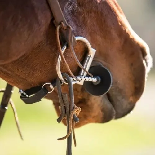 Bridle-Busy-Buddy-Calming.jpg.jpeg
