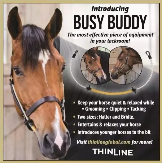 Busy-Buddy-Ad.jpg.jpeg
