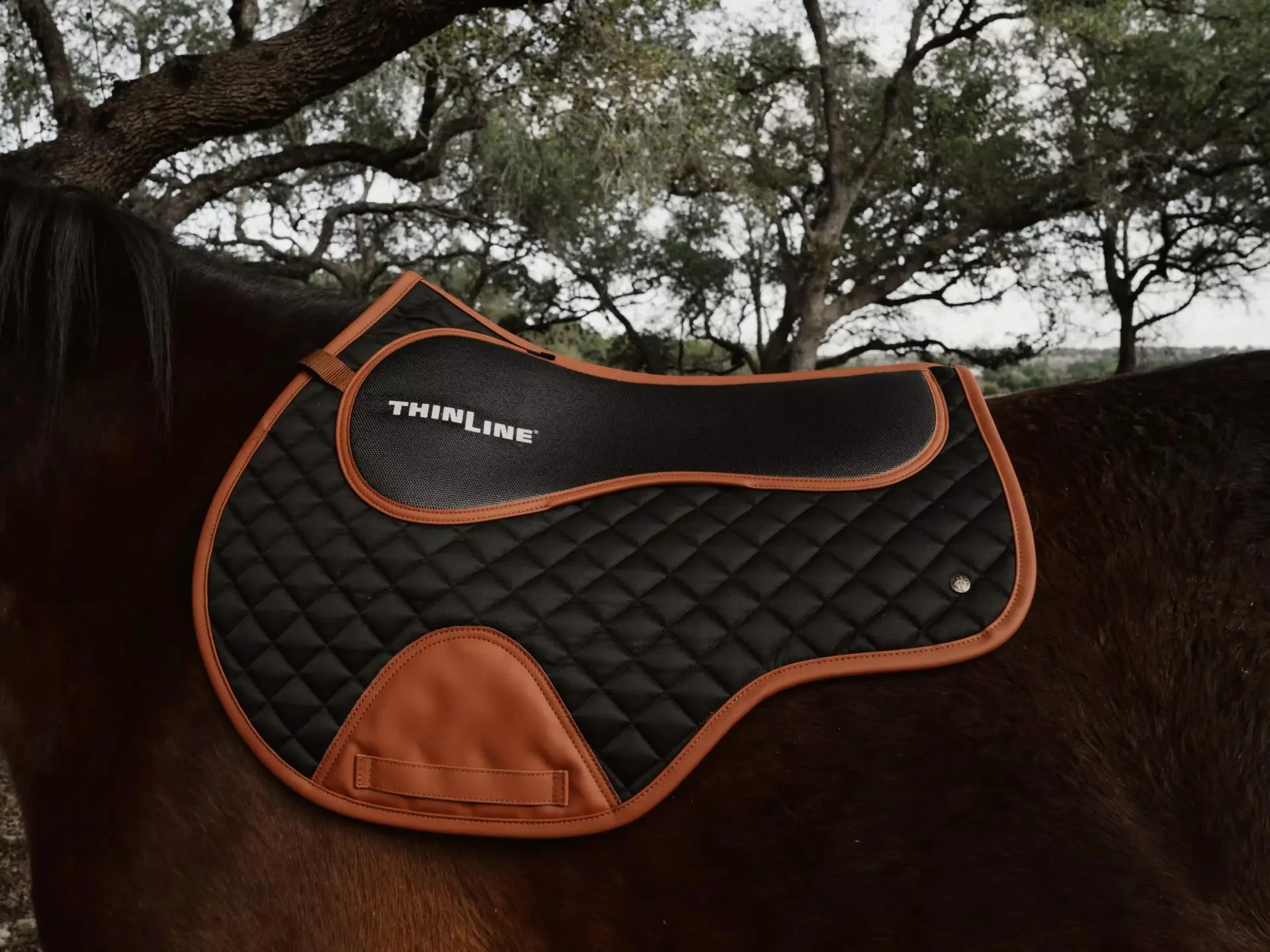 ThinLine-Sixteen-Cypress-Eqeustrian-Saddle-Pads32.jpg.jpeg