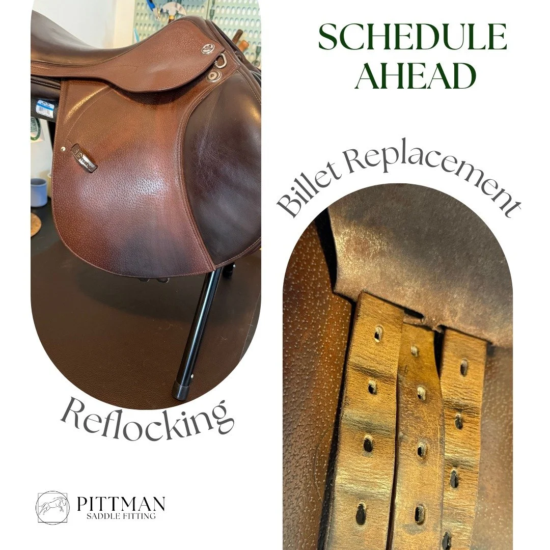 With winter approaching, it’s the perfect time to have your saddle checked. That way, any necessary work can be done during the slower winter months!
When you book your saddle fitting, I’ll assess your flocking, and if it’s time fo