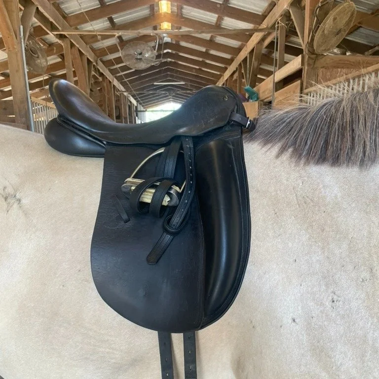 None of these saddles fit, but can you tell me why each one was not the right fit for that horse?