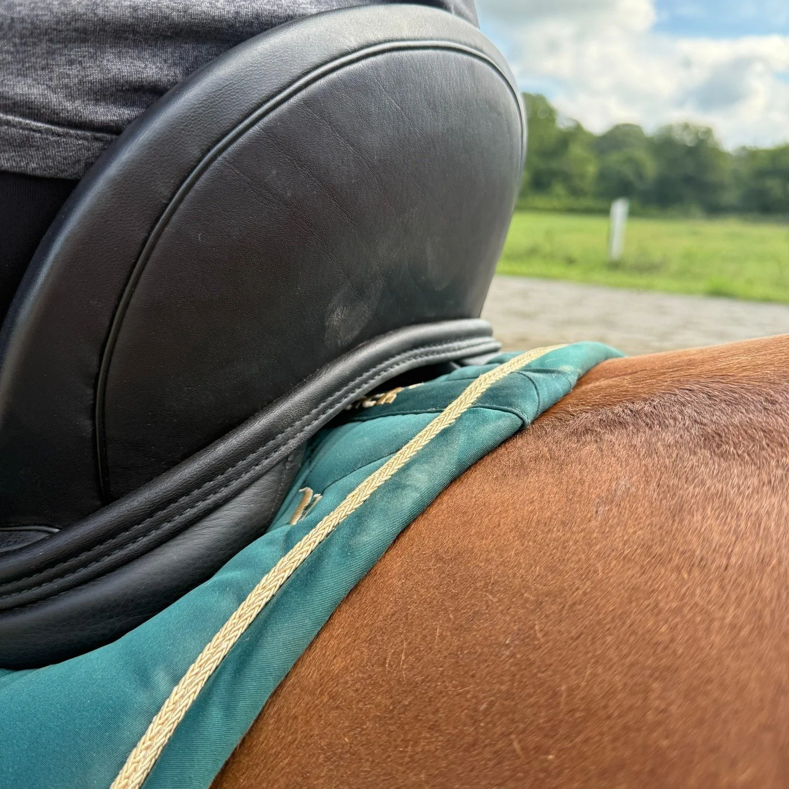Why do we do ridden assessments? 
This picture is an excellent example of why ridden assessments are so important! During the static assessment, this saddle looked like it sit well on the horse, however once girthed up and sat in, the flocking compr