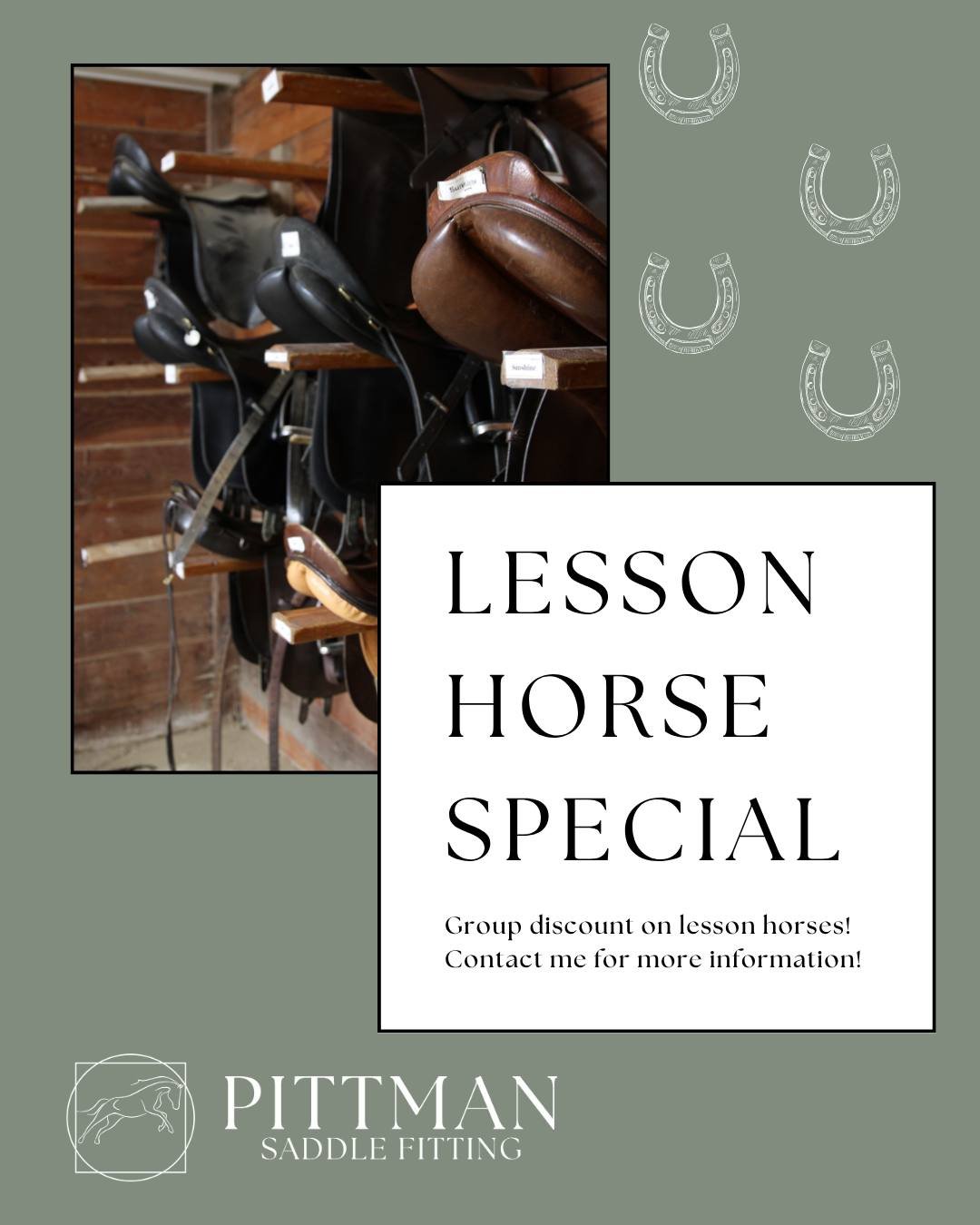 Lesson horses hold a huge space in my heart for the work they do every day for us! Let's make sure they are comfortable with discounted fitting rates!