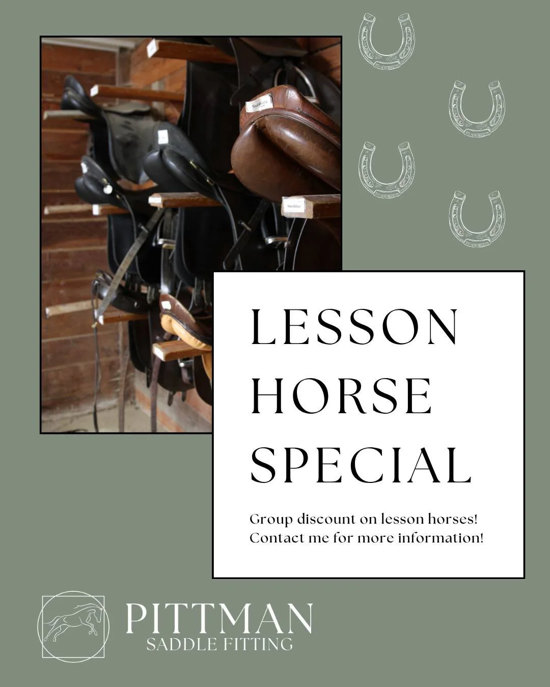 Lesson horses hold a huge space in my heart for the work they do every day for us! Let's make sure they are comfortable with discounted fitting rates!