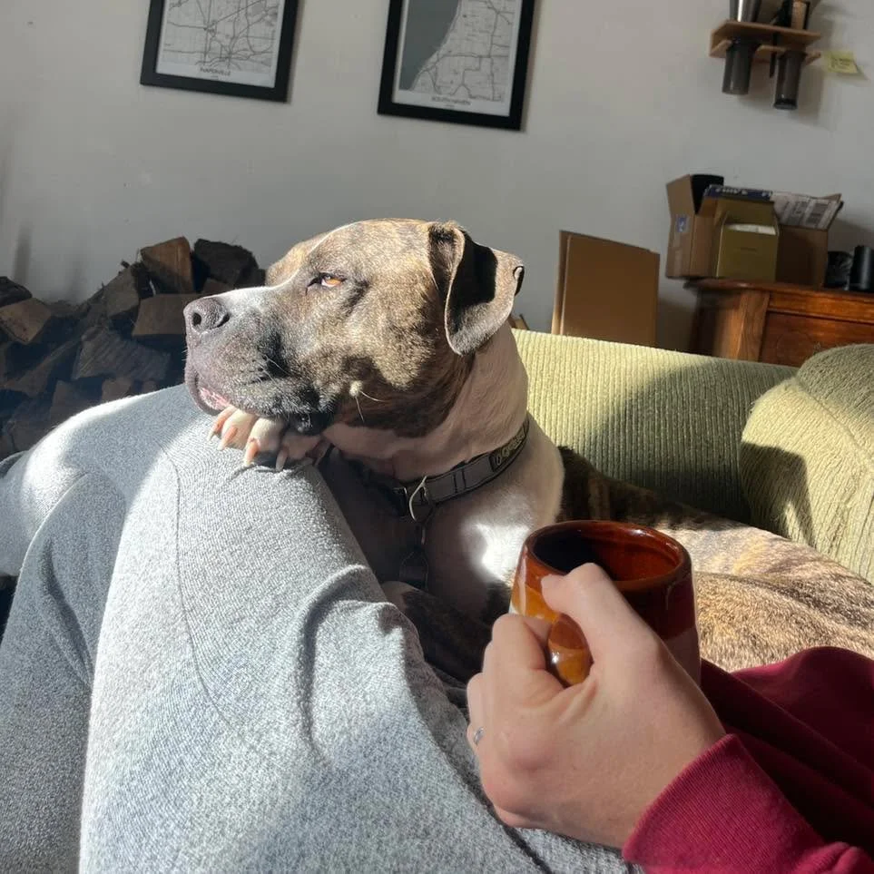 Tis the season for puppy snuggles! I&rsquo;m looking for your favorite book recommendations for continuing my education in all things horse!