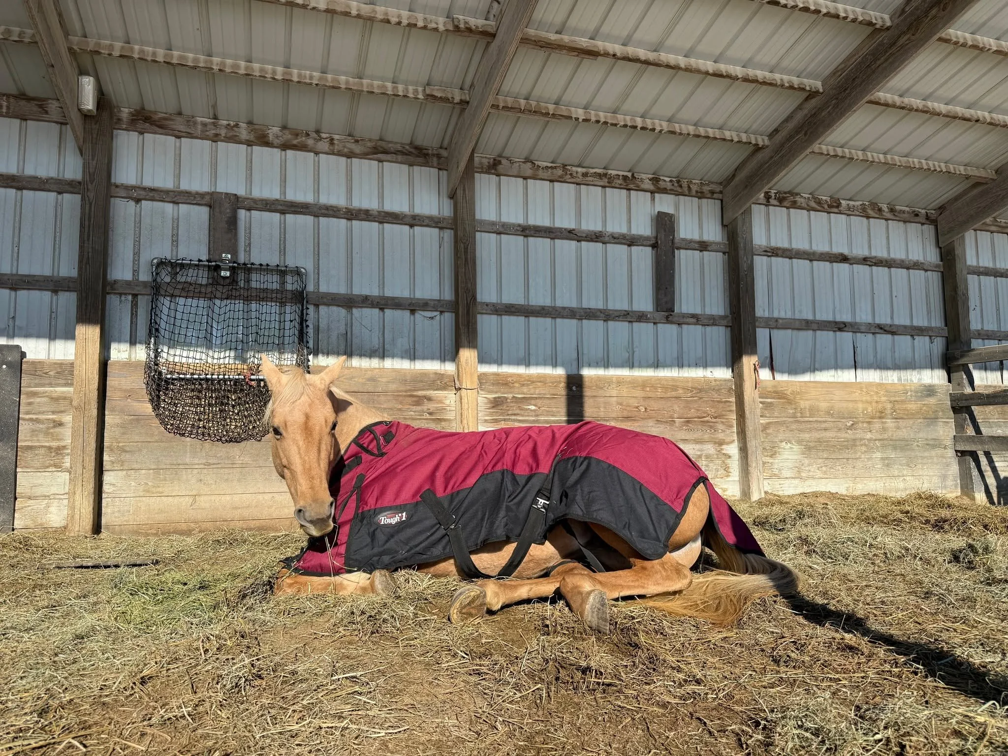We are snug as a fricken bug in a rug! Stay warm everyone! With the snow, if you need to reschedule for safety or ride-ability, I'm all for it! If you are good to go, then I am good to go!