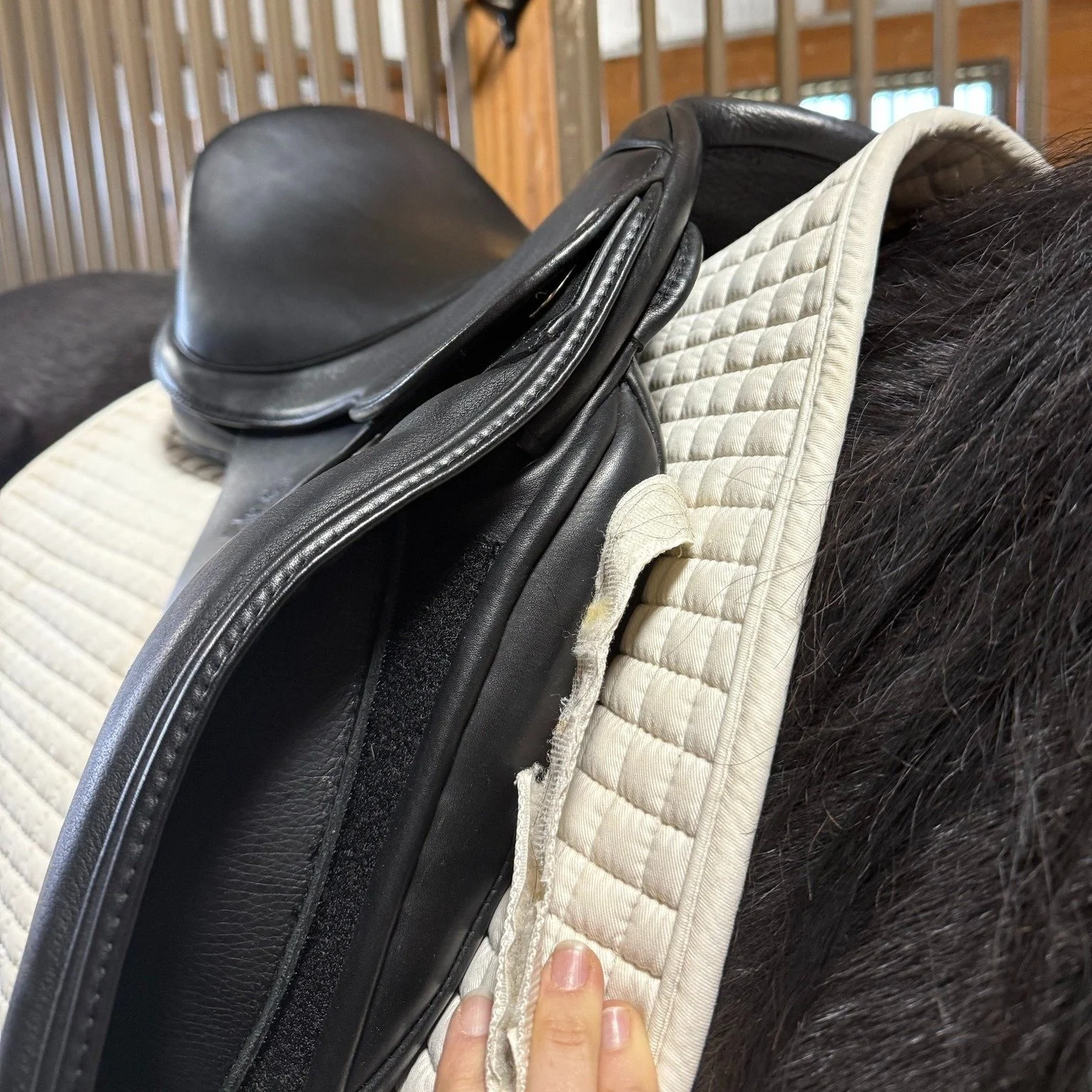 Love it when the fit is *chefs kiss* 

This is the Fairfax Petite Dressage! It fit this handsome boy beautifully and the rider finally felt like she wasn't swimming in her saddle! 

So often I see riders in saddles that are too large or too small for