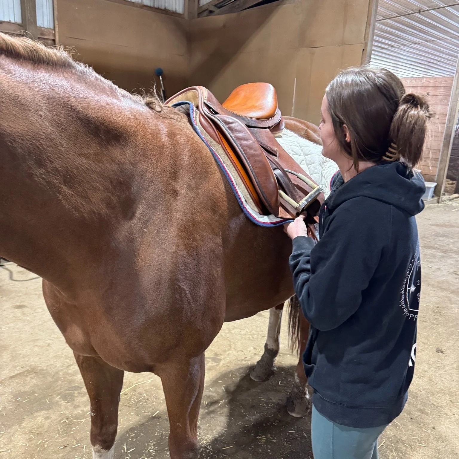 2025 was an unbelievable year that was full of highs and lows. 

I started 2025 at a job that made me feel less than human. My horse was halfway through a suspensory ligament injury and I was working side jobs to save up for saddle fitting school. To