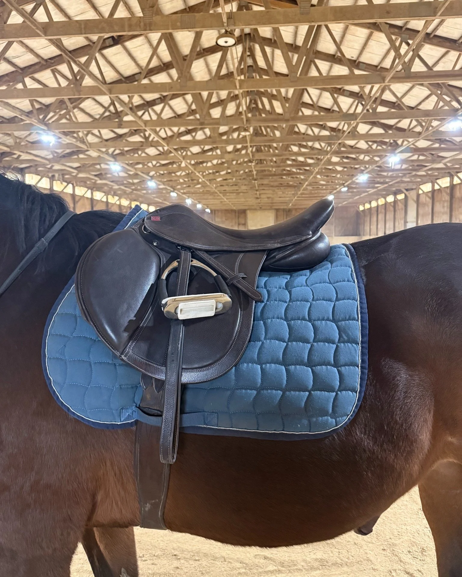 What can you expect at your saddle fitting appointment? 

- Assessing your horse&rsquo;s confirmation, condition, and gait analysis
- Chalking and templating your horse
- Evaluating your current saddle, girth, and pad 
- A static fit of your current 