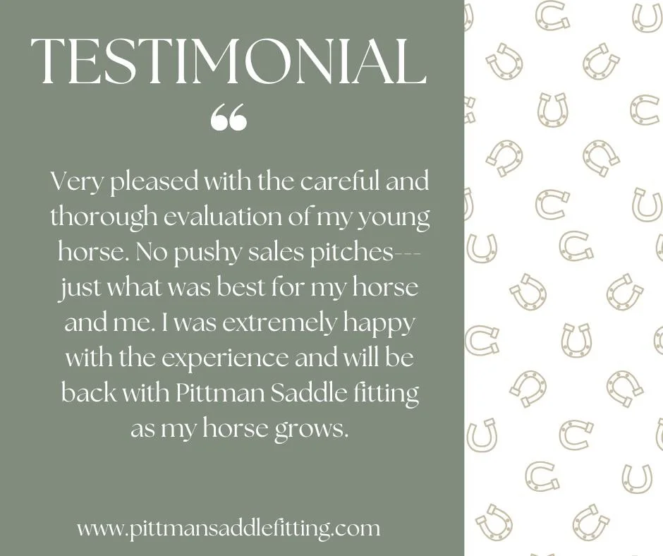 Incredibly thankful for testimonials and reviews! If you were happy with my services in 2025, please consider leaving me a review! 

Google: 
https://share.google/jykG7b102SwRkGotl

Facebook: 
https://www.facebook.com/profile.php?id=61571614794051&am