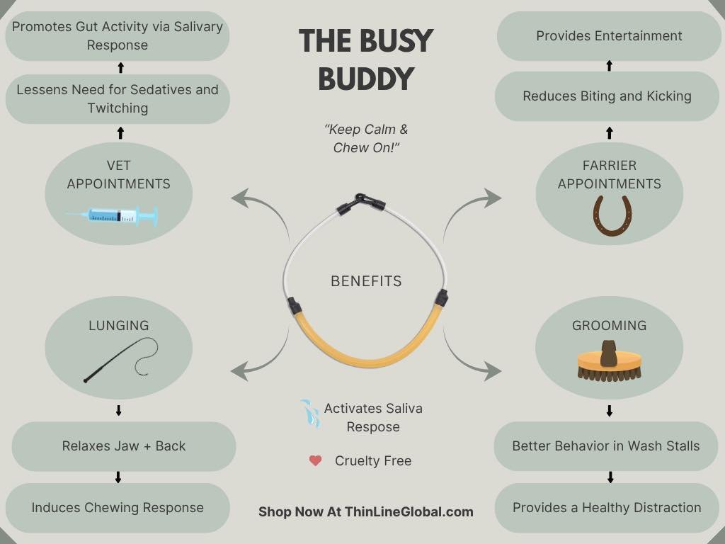 Have you heard of the Busy Buddy from Thinline? I&rsquo;m thinking of having some of these on the truck available for those horses that are wiggle worms or who have anxiety when it comes to saddle fitting/ cross ties! This is obviously a bandaid to a