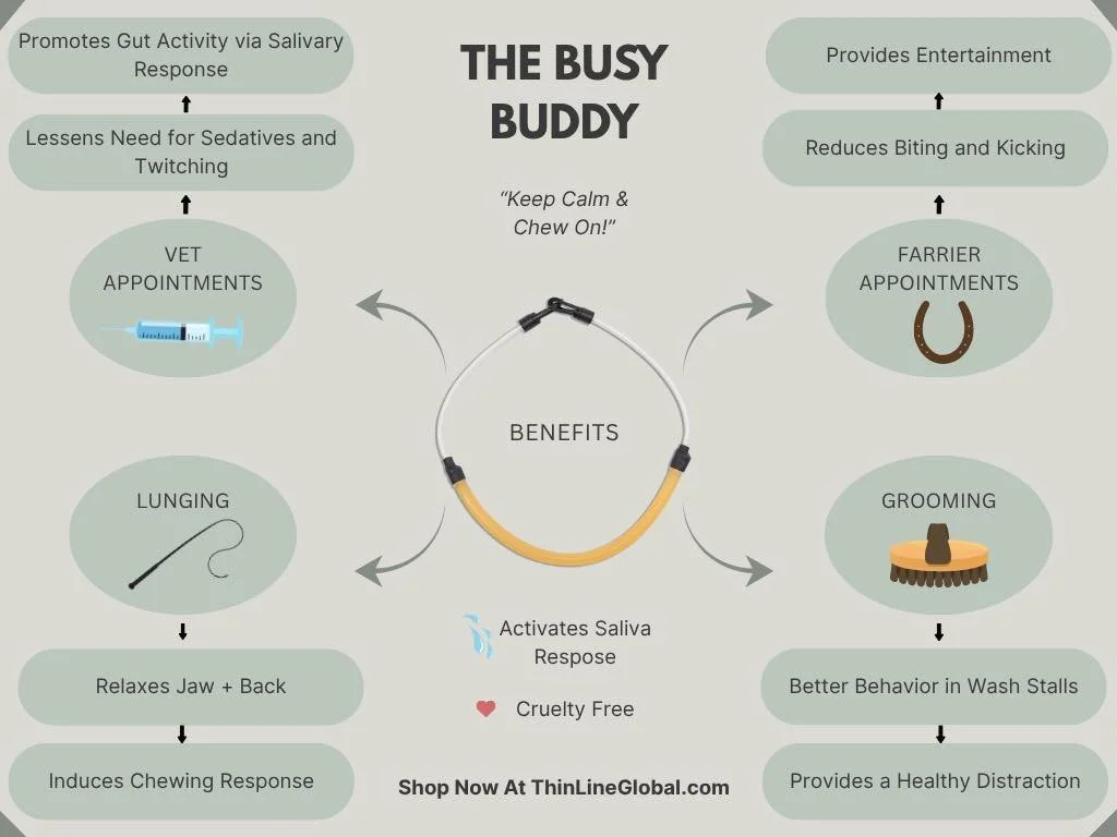 Have you heard of the Busy Buddy from Thinline? I&rsquo;m thinking of having some of these on the truck available for those horses that are wiggle worms or who have anxiety when it comes to saddle fitting/ cross ties! This is obviously a bandaid to a