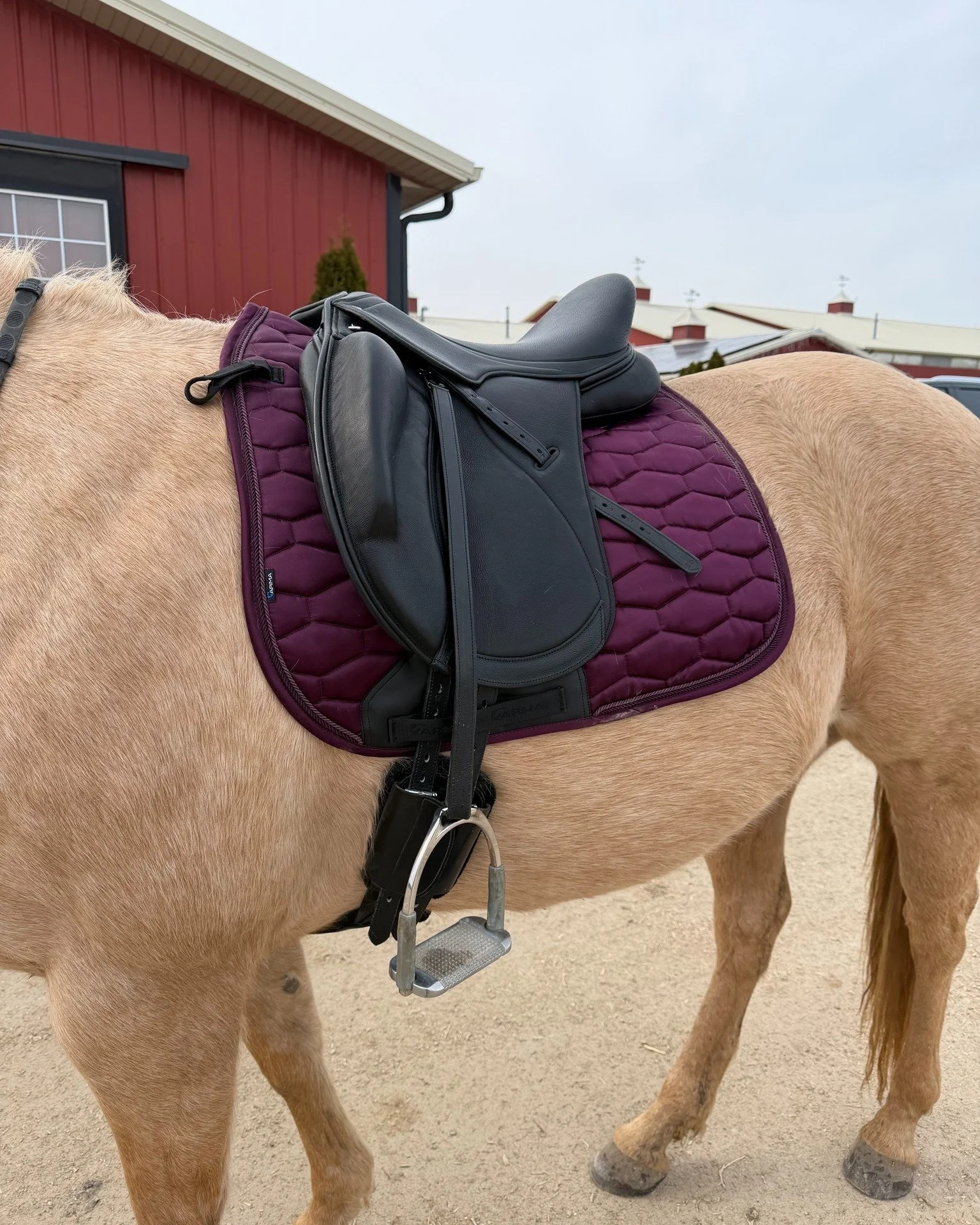 The cutest Galentine a girl could ask for! Especially in her new ARMA Black Cherry pad 😍