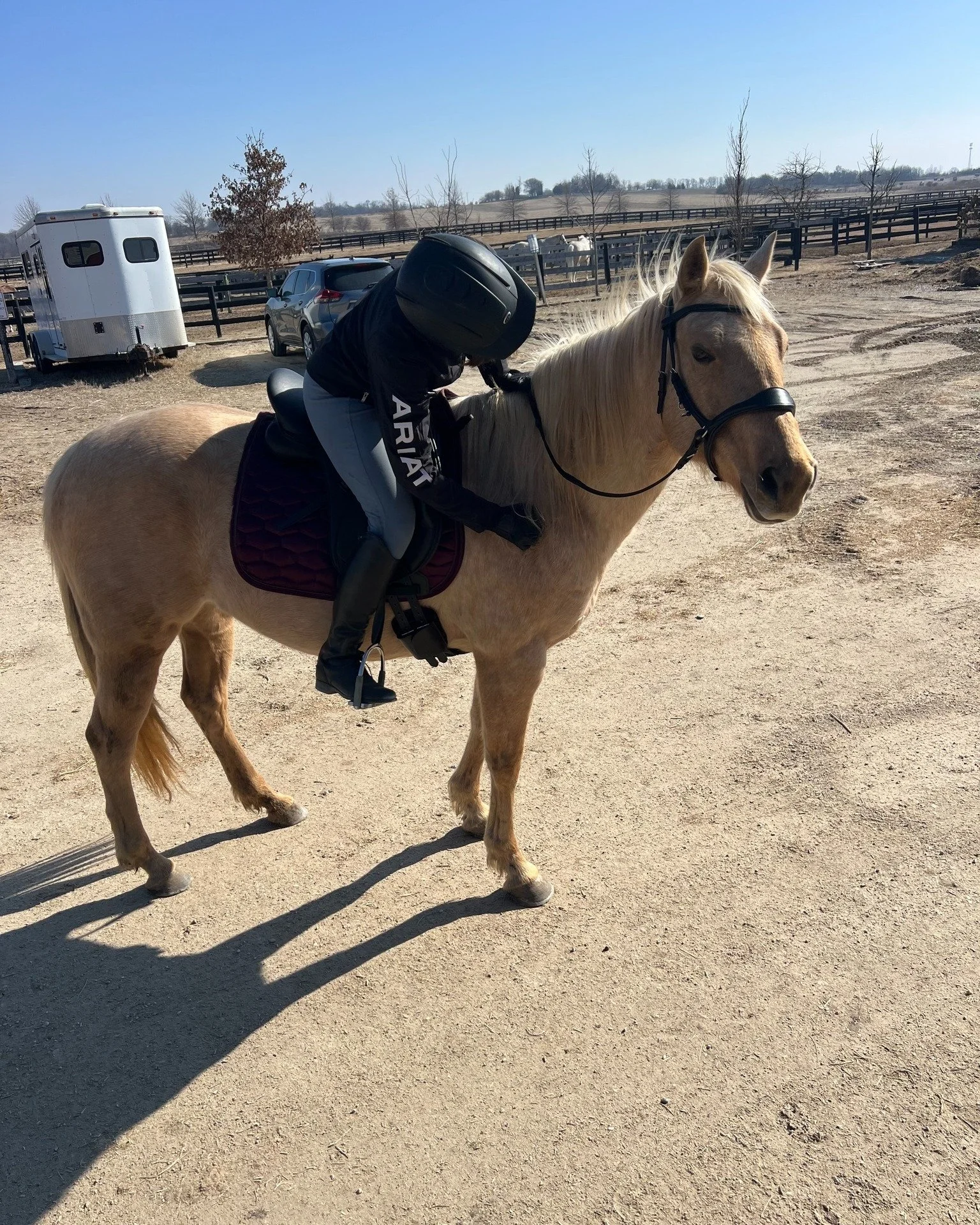 Our false spring was incredible, I loved every second of it! Are you ready for real spring to be here though? Just as a heads up, I'm booking several weeks out so it would be good to get on my schedule now so you are ready to go when 70s come back!