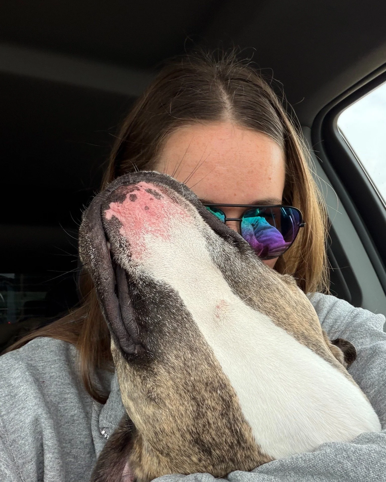 Did you know there are some brands that I may fully support one of their products but not another? I may love a girth in one brand but will question their pad. I think it's important to ask questions of every single piece of tack that we put on our h