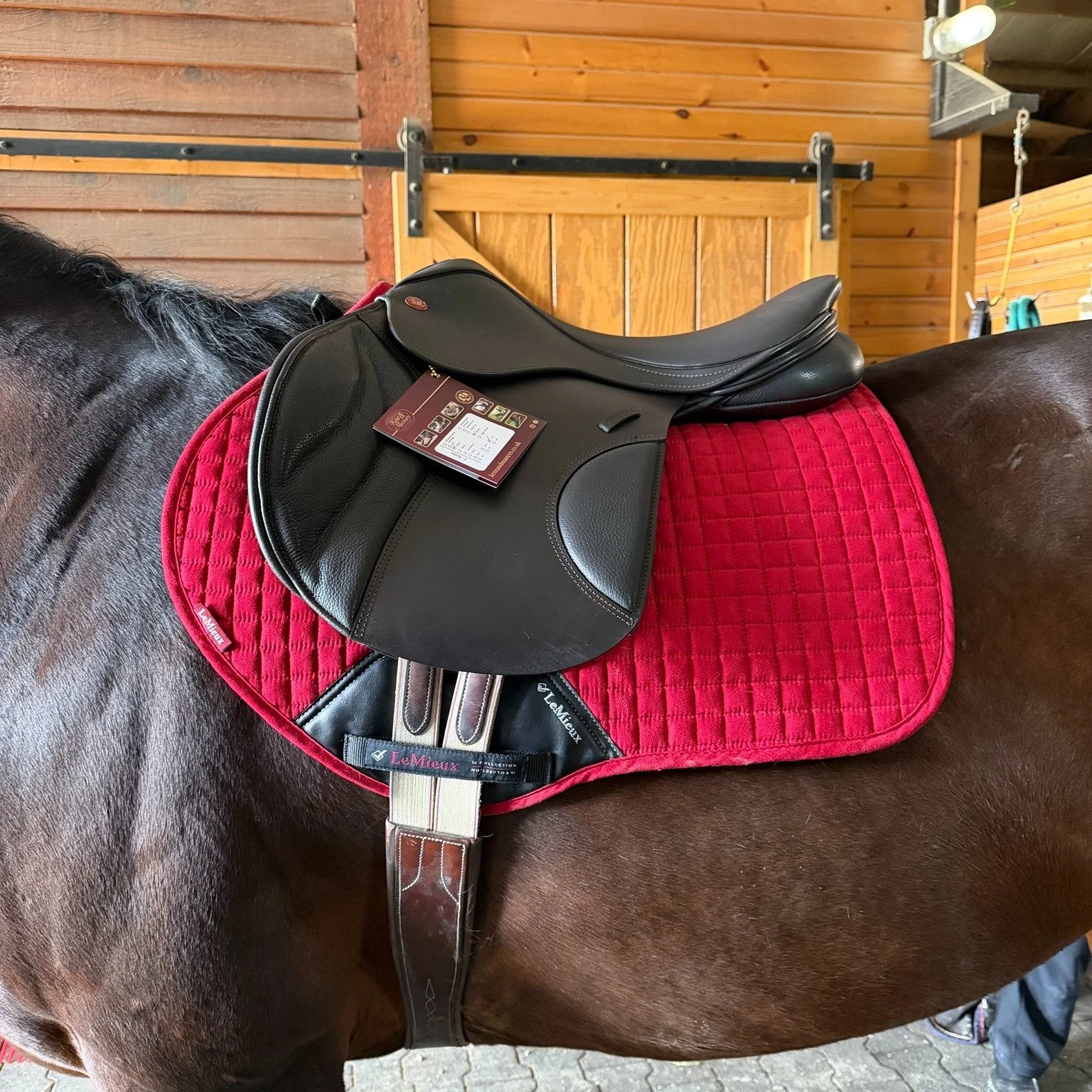 Out of curiosity, what is your favorite feature on your saddle? Is it the cushy seat, the moveable knee blocks, the leather quality? As I continue to expand my brands, I'd love to know what you look for in a saddle! And please don't answer, "bec