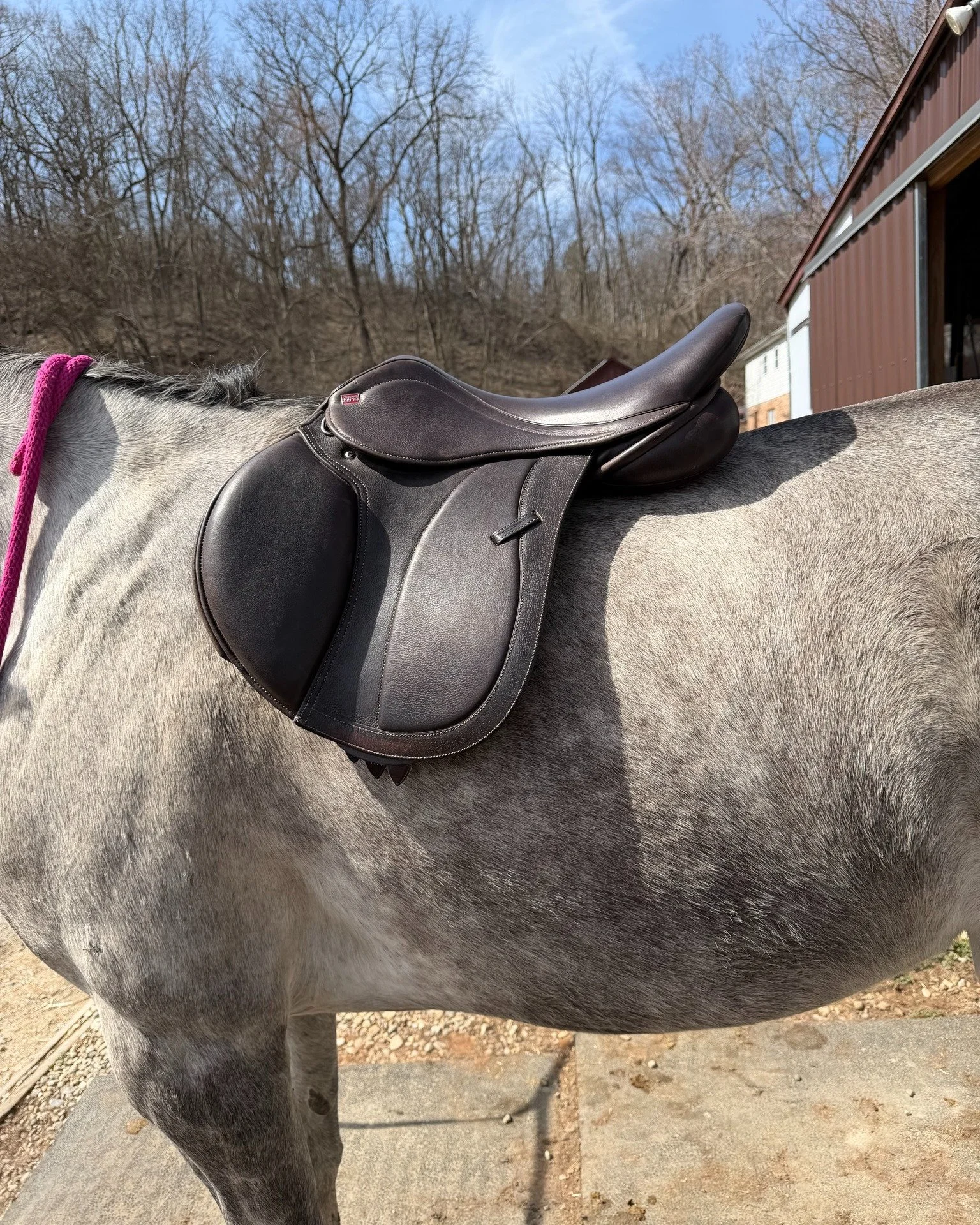 Short-backed horse? There are things that we can do to help get the right size rider in the right size saddle on shorter backed horses! If you look closely, you can see the seat of this GFS Monarch Jump comes over the panels, helping to ensure that w