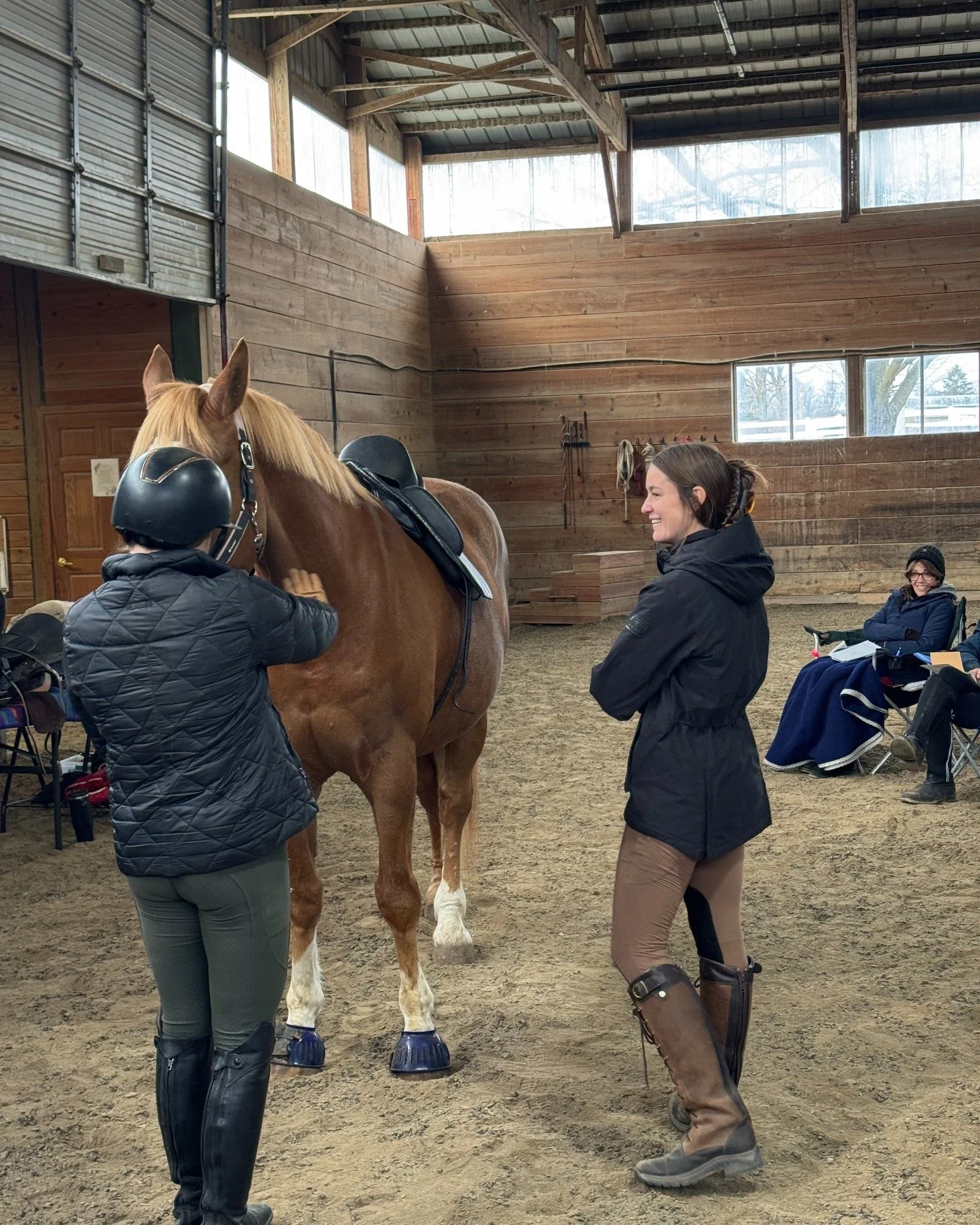Things I love: talking about saddles! Looking to host a clinic this summer? Let's do it together so I can talk about saddles!
