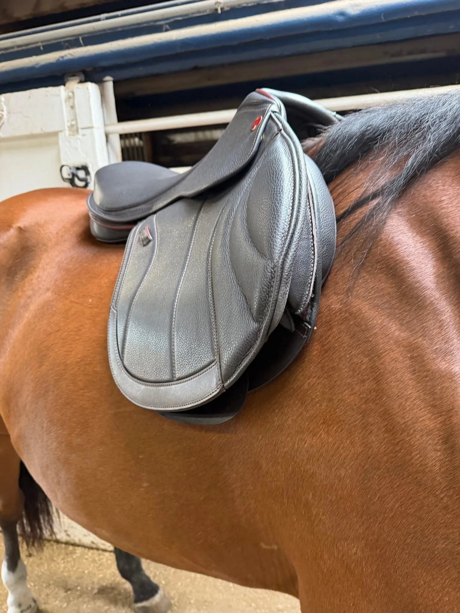 Do you know what a saddle looks like when it is tipped out of balance? I will often see saddles tipping one way or another so it is crucial to train your eye to know when it has gone out of balance. An unbalanced saddle can cause a multitude of issue